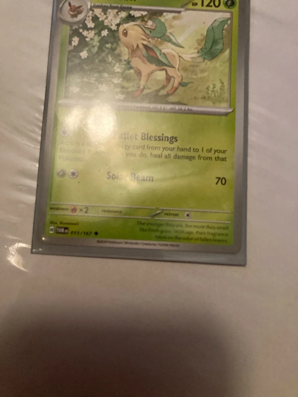 Pokemon Leafeon Green Trading Card and sleeve